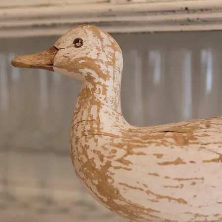 Haus Zum Einhoernle Apartamento *